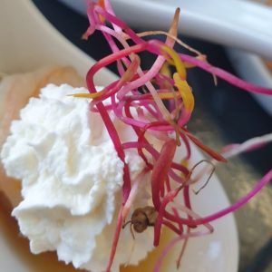 A la maison restaurant la rochelle